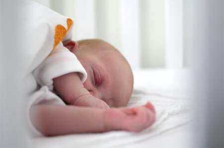 Fien shot with new Canon 35 mm lens